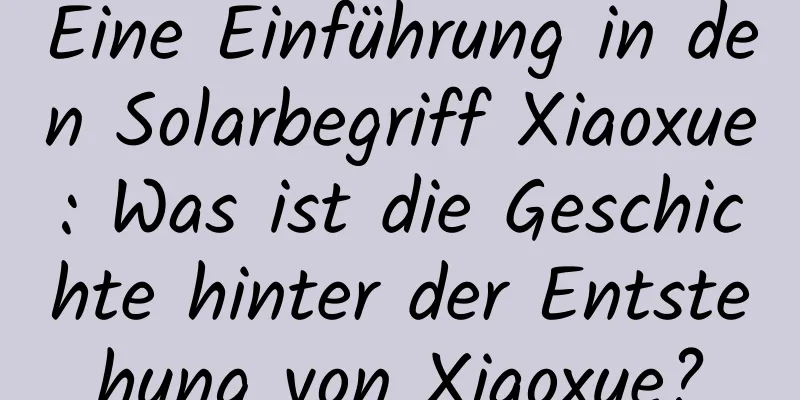 Eine Einführung in den Solarbegriff Xiaoxue: Was ist die Geschichte hinter der Entstehung von Xiaoxue?