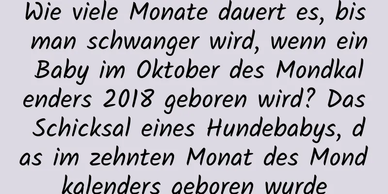 Wie viele Monate dauert es, bis man schwanger wird, wenn ein Baby im Oktober des Mondkalenders 2018 geboren wird? Das Schicksal eines Hundebabys, das im zehnten Monat des Mondkalenders geboren wurde