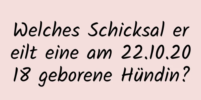 Welches Schicksal ereilt eine am 22.10.2018 geborene Hündin?