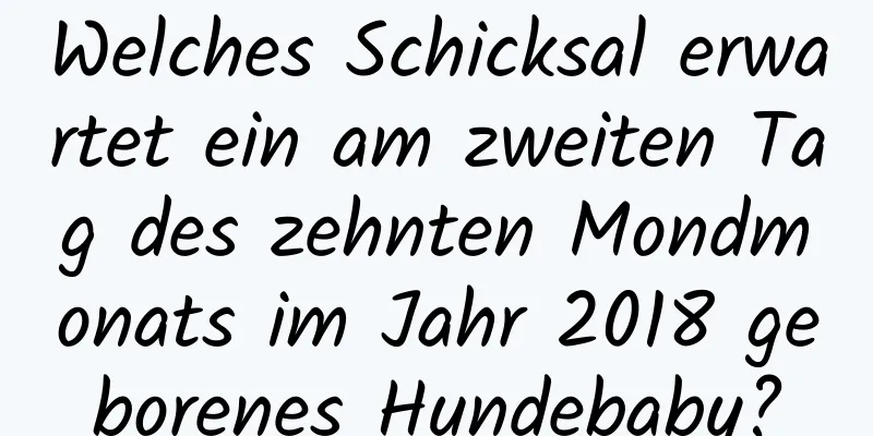 Welches Schicksal erwartet ein am zweiten Tag des zehnten Mondmonats im Jahr 2018 geborenes Hundebaby?