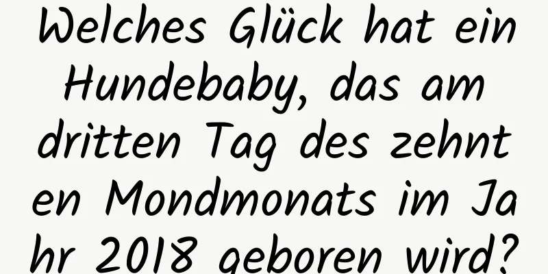 Welches Glück hat ein Hundebaby, das am dritten Tag des zehnten Mondmonats im Jahr 2018 geboren wird?