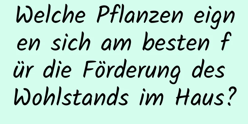 Welche Pflanzen eignen sich am besten für die Förderung des Wohlstands im Haus?