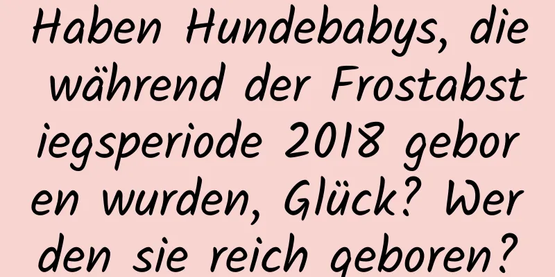 Haben Hundebabys, die während der Frostabstiegsperiode 2018 geboren wurden, Glück? Werden sie reich geboren?