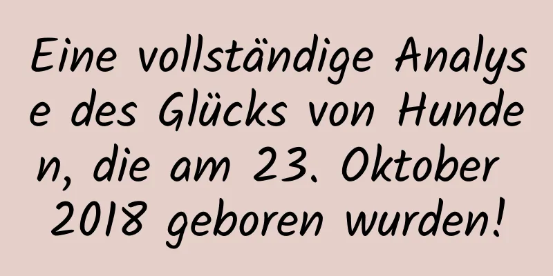 Eine vollständige Analyse des Glücks von Hunden, die am 23. Oktober 2018 geboren wurden!