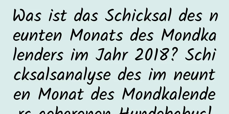 Was ist das Schicksal des neunten Monats des Mondkalenders im Jahr 2018? Schicksalsanalyse des im neunten Monat des Mondkalenders geborenen Hundebabys!