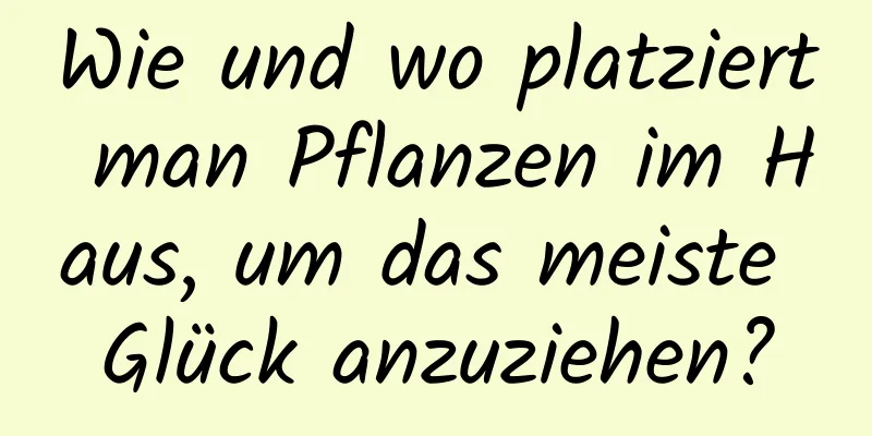 Wie und wo platziert man Pflanzen im Haus, um das meiste Glück anzuziehen?