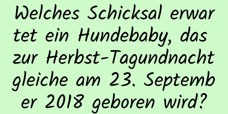 Welches Schicksal erwartet ein Hundebaby, das zur Herbst-Tagundnachtgleiche am 23. September 2018 geboren wird?