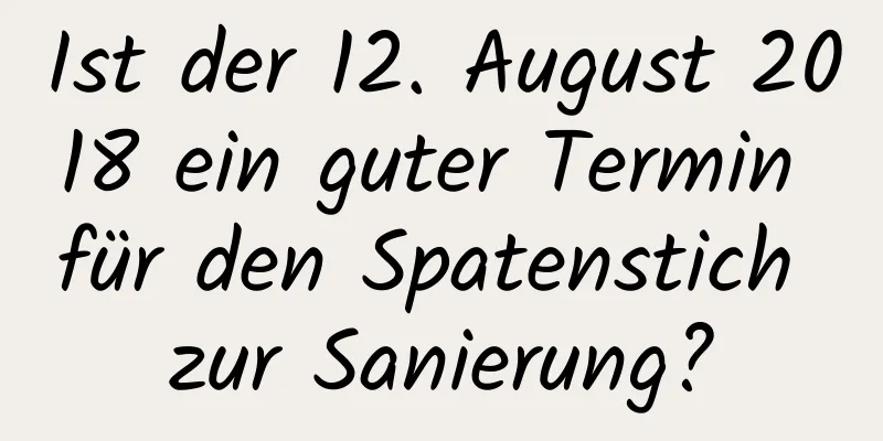 Ist der 12. August 2018 ein guter Termin für den Spatenstich zur Sanierung?