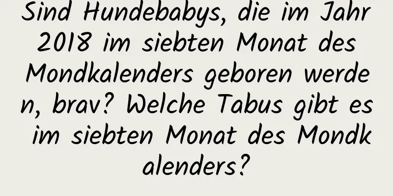 Sind Hundebabys, die im Jahr 2018 im siebten Monat des Mondkalenders geboren werden, brav? Welche Tabus gibt es im siebten Monat des Mondkalenders?