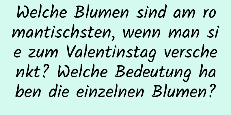 Welche Blumen sind am romantischsten, wenn man sie zum Valentinstag verschenkt? Welche Bedeutung haben die einzelnen Blumen?