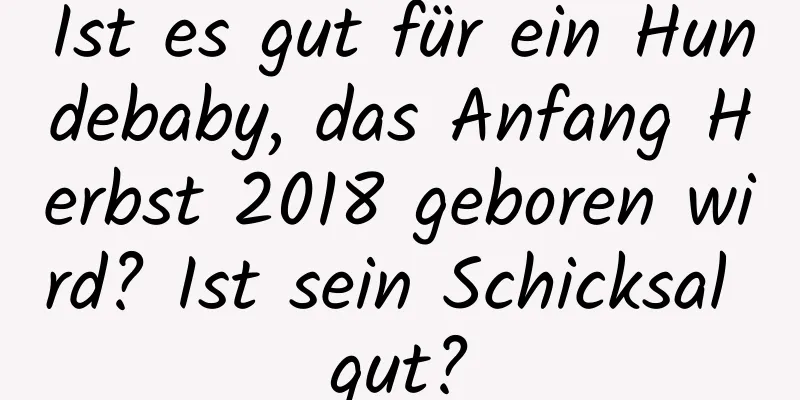 Ist es gut für ein Hundebaby, das Anfang Herbst 2018 geboren wird? Ist sein Schicksal gut?