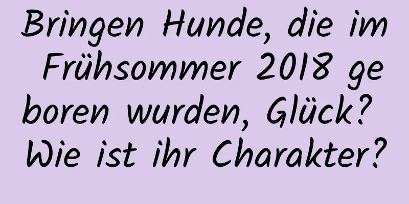 Bringen Hunde, die im Frühsommer 2018 geboren wurden, Glück? Wie ist ihr Charakter?