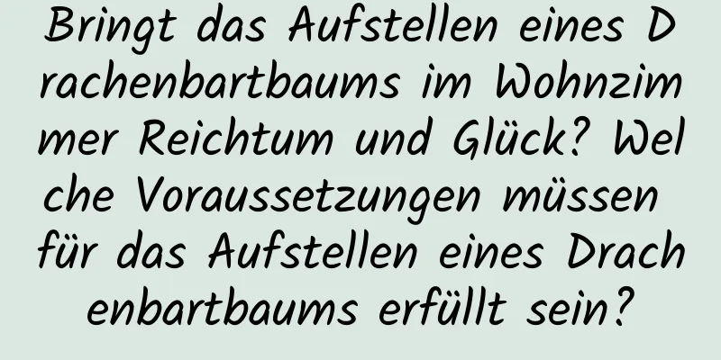 Bringt das Aufstellen eines Drachenbartbaums im Wohnzimmer Reichtum und Glück? Welche Voraussetzungen müssen für das Aufstellen eines Drachenbartbaums erfüllt sein?