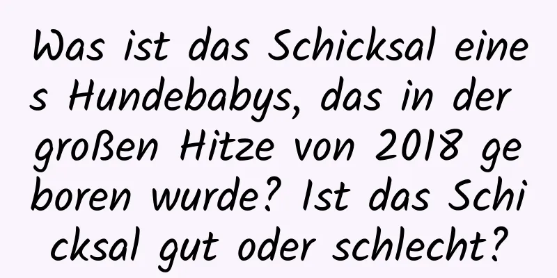 Was ist das Schicksal eines Hundebabys, das in der großen Hitze von 2018 geboren wurde? Ist das Schicksal gut oder schlecht?