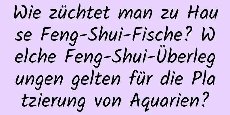 Wie züchtet man zu Hause Feng-Shui-Fische? Welche Feng-Shui-Überlegungen gelten für die Platzierung von Aquarien?