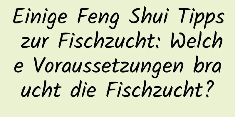 Einige Feng Shui Tipps zur Fischzucht: Welche Voraussetzungen braucht die Fischzucht?