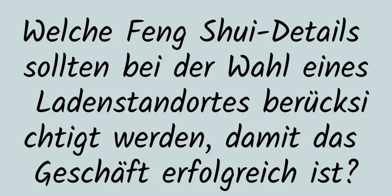 Welche Feng Shui-Details sollten bei der Wahl eines Ladenstandortes berücksichtigt werden, damit das Geschäft erfolgreich ist?