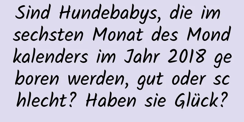 Sind Hundebabys, die im sechsten Monat des Mondkalenders im Jahr 2018 geboren werden, gut oder schlecht? Haben sie Glück?