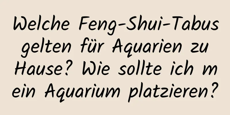 Welche Feng-Shui-Tabus gelten für Aquarien zu Hause? Wie sollte ich mein Aquarium platzieren?