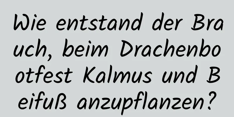 Wie entstand der Brauch, beim Drachenbootfest Kalmus und Beifuß anzupflanzen?