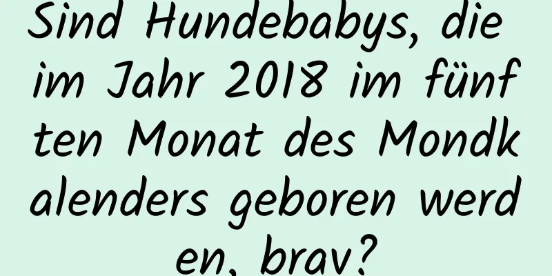 Sind Hundebabys, die im Jahr 2018 im fünften Monat des Mondkalenders geboren werden, brav?