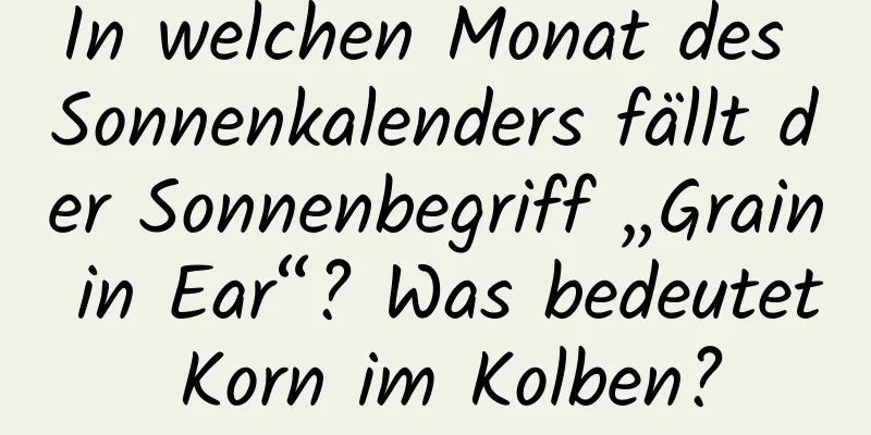 In welchen Monat des Sonnenkalenders fällt der Sonnenbegriff „Grain in Ear“? Was bedeutet Korn im Kolben?