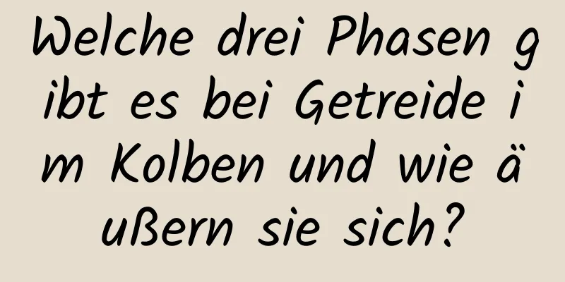 Welche drei Phasen gibt es bei Getreide im Kolben und wie äußern sie sich?