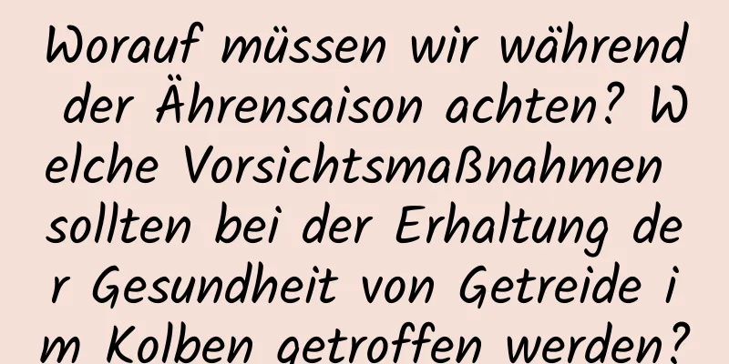 Worauf müssen wir während der Ährensaison achten? Welche Vorsichtsmaßnahmen sollten bei der Erhaltung der Gesundheit von Getreide im Kolben getroffen werden?