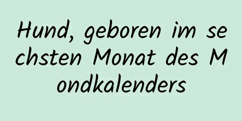 Hund, geboren im sechsten Monat des Mondkalenders