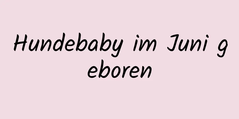 Hundebaby im Juni geboren