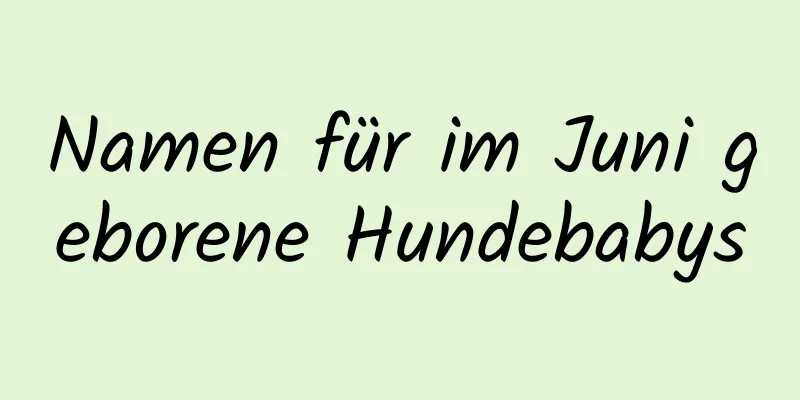 Namen für im Juni geborene Hundebabys