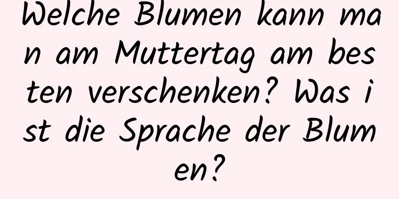 Welche Blumen kann man am Muttertag am besten verschenken? Was ist die Sprache der Blumen?