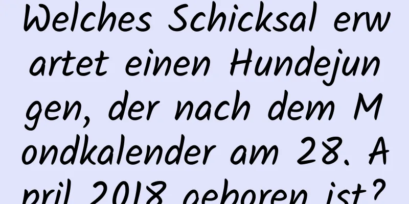 Welches Schicksal erwartet einen Hundejungen, der nach dem Mondkalender am 28. April 2018 geboren ist?