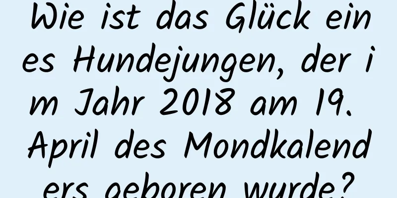 Wie ist das Glück eines Hundejungen, der im Jahr 2018 am 19. April des Mondkalenders geboren wurde?