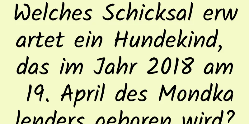 Welches Schicksal erwartet ein Hundekind, das im Jahr 2018 am 19. April des Mondkalenders geboren wird?