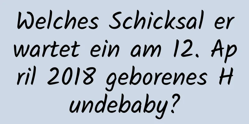 Welches Schicksal erwartet ein am 12. April 2018 geborenes Hundebaby?