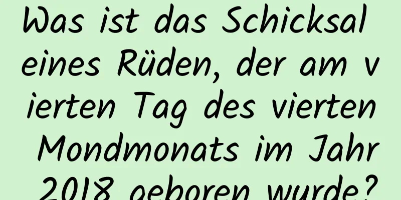 Was ist das Schicksal eines Rüden, der am vierten Tag des vierten Mondmonats im Jahr 2018 geboren wurde?