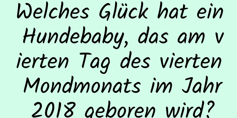 Welches Glück hat ein Hundebaby, das am vierten Tag des vierten Mondmonats im Jahr 2018 geboren wird?