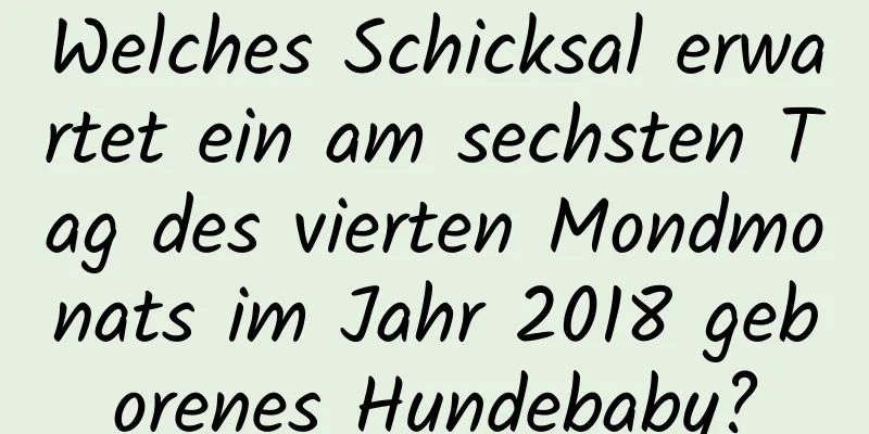 Welches Schicksal erwartet ein am sechsten Tag des vierten Mondmonats im Jahr 2018 geborenes Hundebaby?