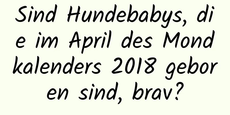 Sind Hundebabys, die im April des Mondkalenders 2018 geboren sind, brav?