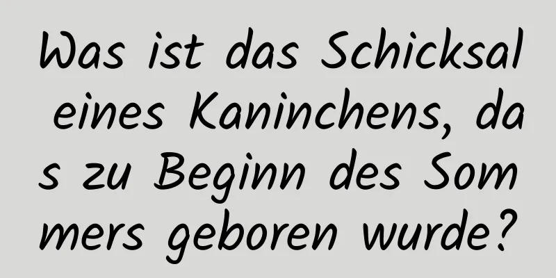 Was ist das Schicksal eines Kaninchens, das zu Beginn des Sommers geboren wurde?