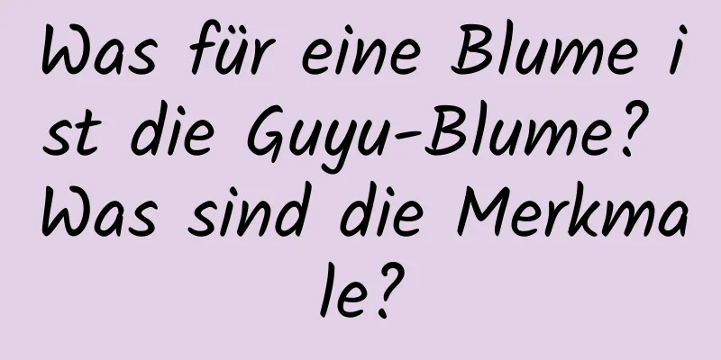 Was für eine Blume ist die Guyu-Blume? Was sind die Merkmale?