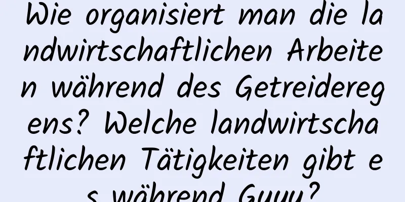 Wie organisiert man die landwirtschaftlichen Arbeiten während des Getreideregens? Welche landwirtschaftlichen Tätigkeiten gibt es während Guyu?