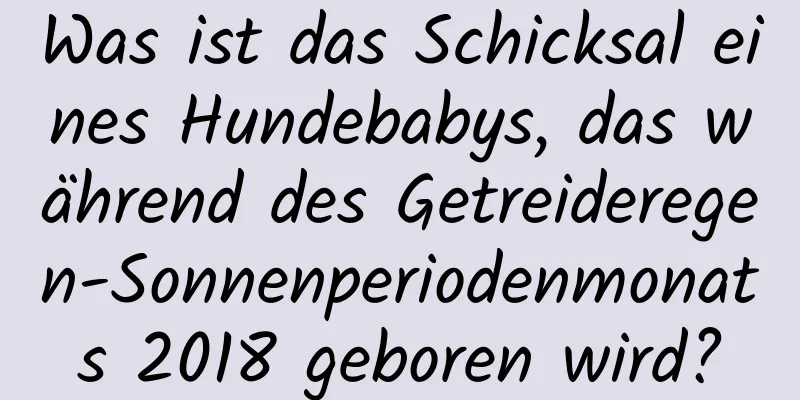 Was ist das Schicksal eines Hundebabys, das während des Getreideregen-Sonnenperiodenmonats 2018 geboren wird?