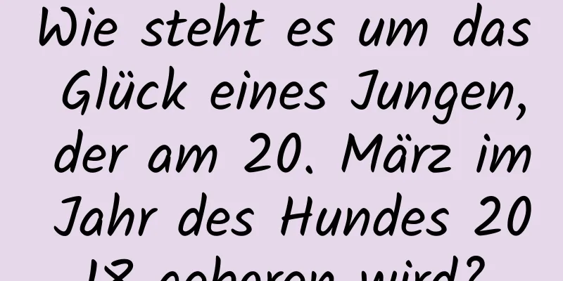 Wie steht es um das Glück eines Jungen, der am 20. März im Jahr des Hundes 2018 geboren wird?