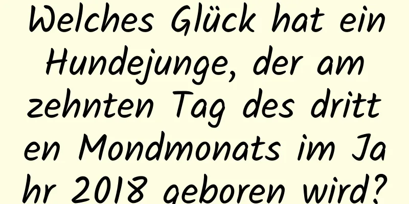 Welches Glück hat ein Hundejunge, der am zehnten Tag des dritten Mondmonats im Jahr 2018 geboren wird?