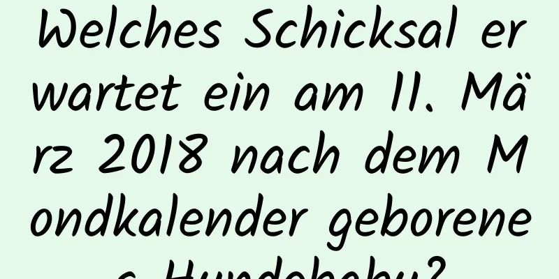 Welches Schicksal erwartet ein am 11. März 2018 nach dem Mondkalender geborenes Hundebaby?