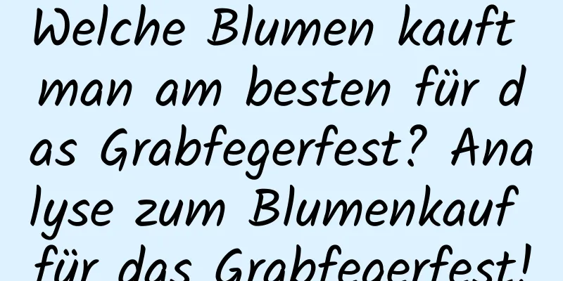 Welche Blumen kauft man am besten für das Grabfegerfest? Analyse zum Blumenkauf für das Grabfegerfest!