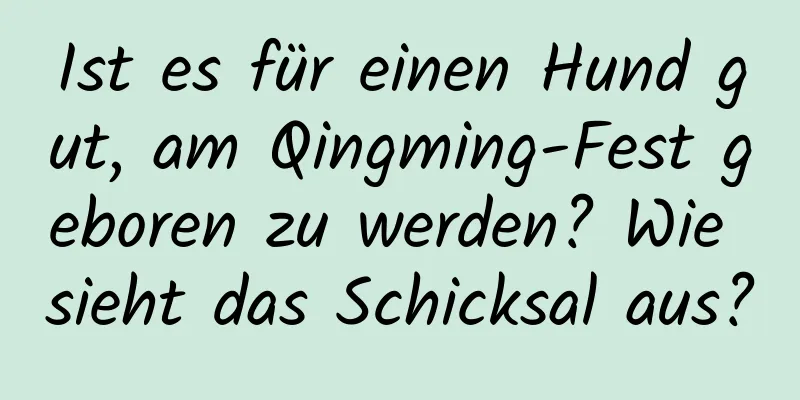 Ist es für einen Hund gut, am Qingming-Fest geboren zu werden? Wie sieht das Schicksal aus?