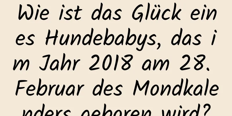 Wie ist das Glück eines Hundebabys, das im Jahr 2018 am 28. Februar des Mondkalenders geboren wird?